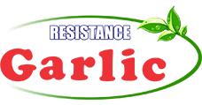 Imagem com link da cultura de Resistance Garlic